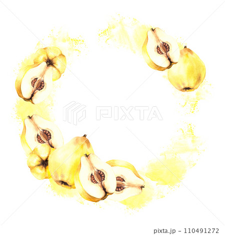 Hand painted watercolor round frame, wreath. Ripe juicy quince whole and cut fruits with seeds inside on the yellow stain. Clipart illustration for food, drink print label. Isolated white background. 110491272