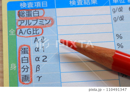 血液検査報告書(全身の状態・病気の有無) 血液検査報告書(全身の状態・病気の有無) 110491347