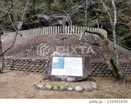 岩戸山古墳　筑紫君磐井 110491636
