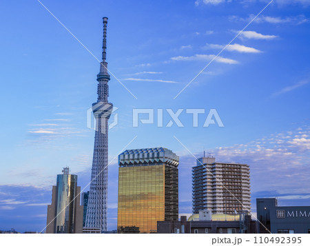 (東京都)東京スカイツリー・墨田区役所・アサヒビール建物 夕景 (東京都)東京スカイツリー・墨田区役所・アサヒビール建物 夕景 110492395