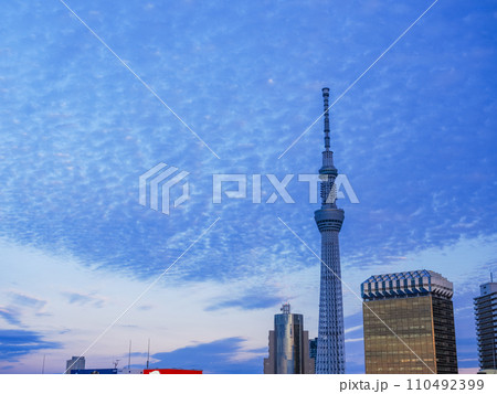 (東京都)東京スカイツリー・墨田区役所・アサヒビール建物 夕景 (東京都)東京スカイツリー・墨田区役所・アサヒビール建物 夕景 110492399
