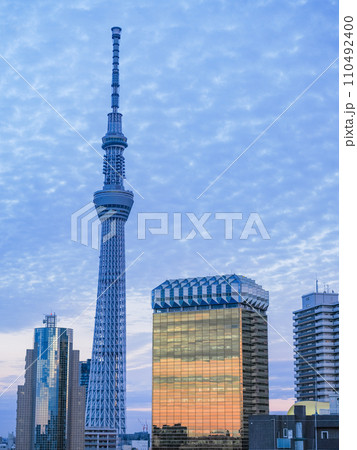 （東京都）東京スカイツリー・墨田区役所・アサヒビール建物　夕景 110492400