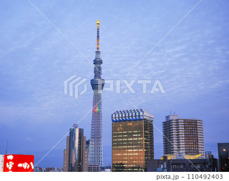 (東京都)東京スカイツリー・墨田区役所・アサヒビール建物 夕景 (東京都)東京スカイツリー・墨田区役所・アサヒビール建物 夕景 110492403
