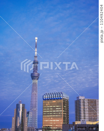 (東京都)東京スカイツリー・墨田区役所・アサヒビール建物 夕景 (東京都)東京スカイツリー・墨田区役所・アサヒビール建物 夕景 110492404