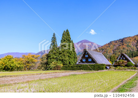 秋色に染まる世界遺産白川郷 岐阜県白川村 秋色に染まる世界遺産白川郷 岐阜県白川村 110492456