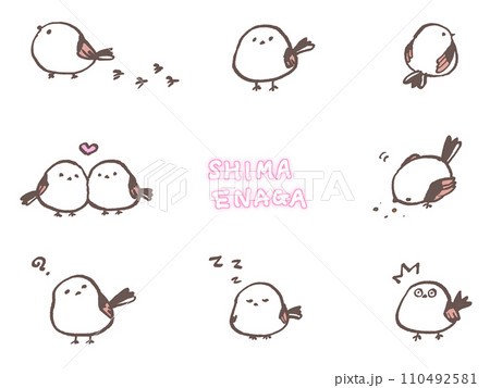 シマエナガ 110492581