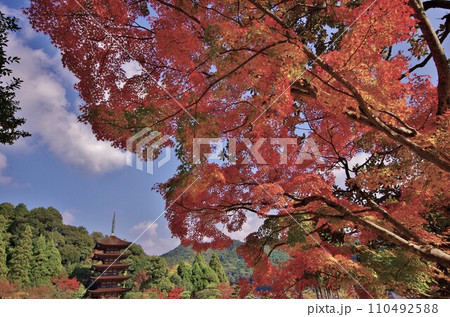 西の京山口 国宝 瑠璃光寺五重塔 西の京山口 国宝 瑠璃光寺五重塔 110492588
