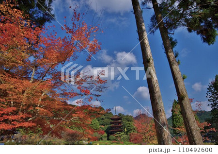 西の京山口 国宝 瑠璃光寺五重塔 西の京山口 国宝 瑠璃光寺五重塔 110492600