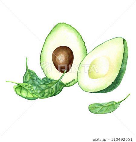 Watercolor spinach and avocado fruit composition. Hand drawn food illustration isolated on white background. For clip art cards menu label package 110492651