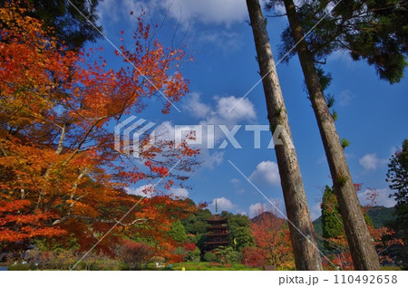 尾道　天寧寺三重塔と尾道水道 110492658