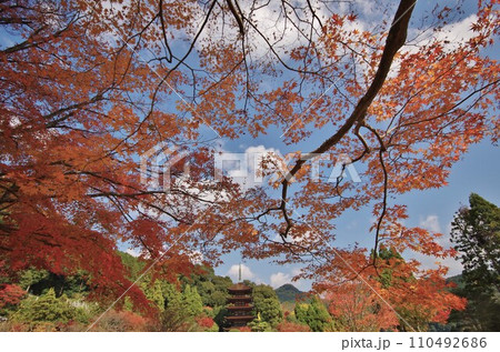 西の京山口 国宝 瑠璃光寺五重塔 西の京山口 国宝 瑠璃光寺五重塔 110492686