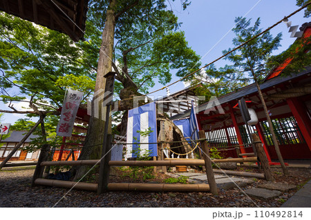 長野県上田市の春　日本の真ん中　新緑の生島足島神社 110492814