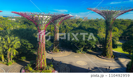 ガーデンズ・バイ・ザ・ベイと綺麗な植物 110492959