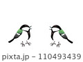 二羽のシジュウカラ　横向き 110493439
