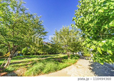 領家立野公園 110494360