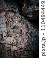 Light granite rock texture concept photo. Mountain rough surface. Close up stone background 110494449