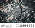Seaside grey textured rock concept photo. Close up stone background for design. Texture in nature 110494451