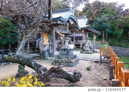 玄界灘見晴らす加部島の田島神社(佐賀県唐津市呼子町) 玄界灘見晴らす加部島の田島神社(佐賀県唐津市呼子町) 110494577