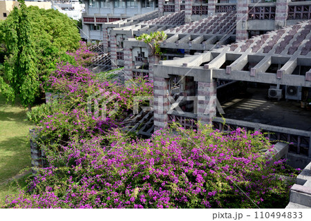 沖縄県名護市の日本建築学会賞を受賞している市役所庁舎 110494833