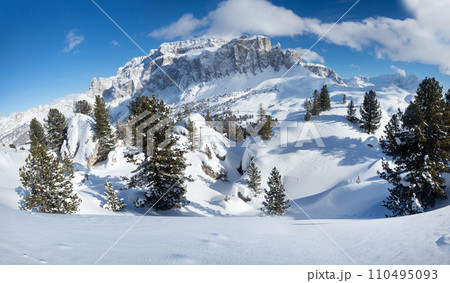 Winter landscape with snow firs and winter mountains. Alps, Italy, Val di Fassa Winter landscape with snow firs and winter mountains. Alps, Italy, Val di Fassa 110495093