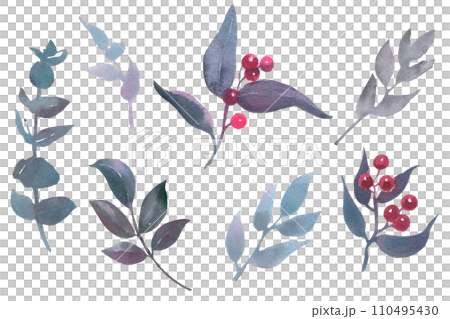 Set vintage watercolor elements of leaves, illustration isolated on white background, eucalyptus, herbs, bud, red berries and leaves 110495430