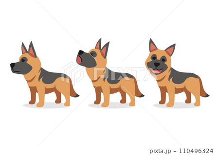 Set of vector cartoon character german shepherd dog 110496324