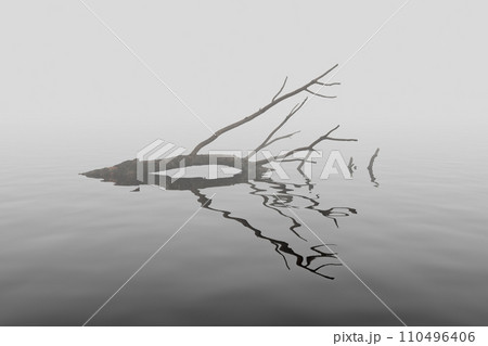 Branch on the water Branch on the water 110496406
