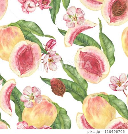 Peach seamless Pattern. Watercolor illustration Hand drawn on isolated white background. Botanical painting of fruit with pink flowers. Drawing of spring template for kitchen textiles: towel, napkins Peach seamless Pattern. Watercolor illustration Hand drawn on isolated white background. Botanical painting of fruit with pink flowers. Drawing of spring template for kitchen textiles: towel, napkins 110496706
