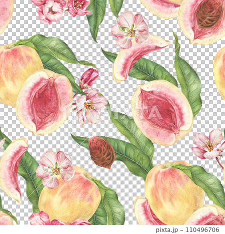 Peach seamless Pattern. Watercolor illustration Hand drawn on isolated white background. Botanical painting of fruit with pink flowers. Drawing of spring template for kitchen textiles: towel, napkins Peach seamless Pattern. Watercolor illustration Hand drawn on isolated white background. Botanical painting of fruit with pink flowers. Drawing of spring template for kitchen textiles: towel, napkins 110496706
