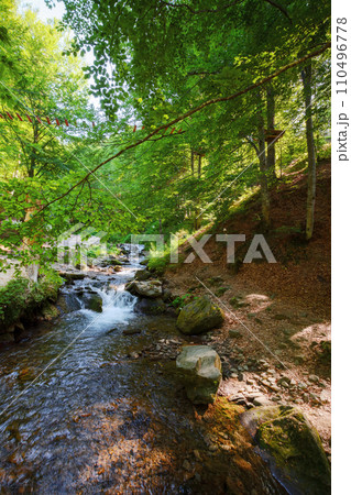 shypit water stream of pylypets river in the beech forest of carpathian mountains. scenery with small cascades and stones. sunny morning in summer shypit water stream of pylypets river in the beech forest of carpathian mountains. scenery with small cascades and stones. sunny morning in summer 110496778