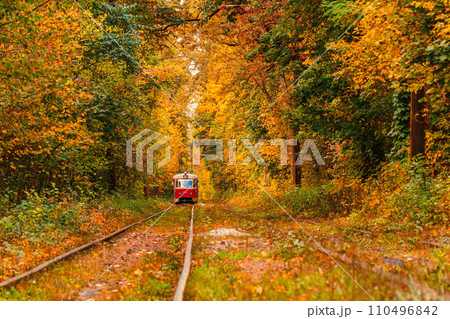 Autumn forest through which an old tram rides (Ukraine) Autumn forest through which an old tram rides (Ukraine) 110496842