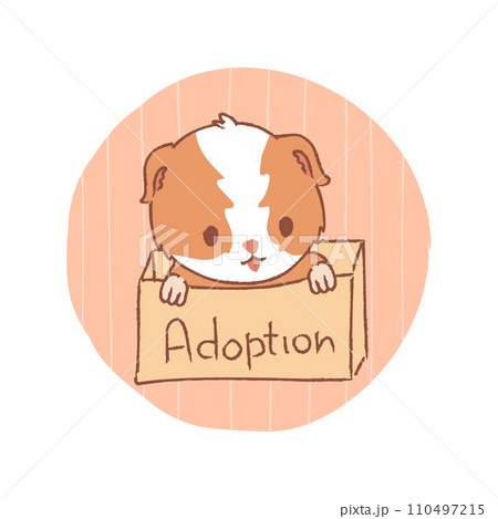 Kawaii guinea pig in the box. Pet adoption concept. Stock vector illustration in flat cartoon style isolated on white background. 110497215