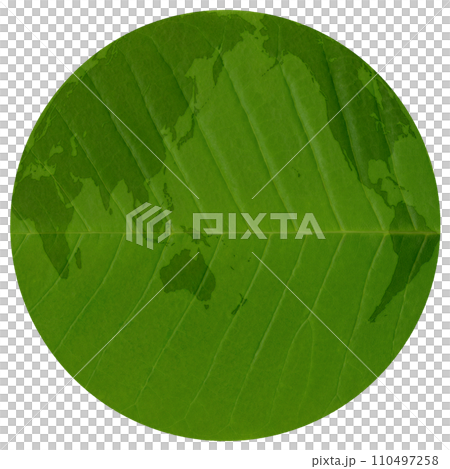 A green earth drawn on a leaf with beautiful veins (horizontal axis) 110497258