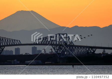 富士山 夕景 富士山 夕景 110497352