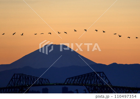 富士山 夕景 富士山 夕景 110497354