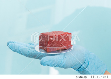 Lab grown meat concept - meat in petri dish Lab grown meat concept - meat in petri dish 110497561