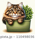プランターと猫 110498036