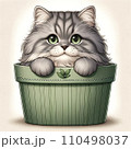 プランターと猫 110498037