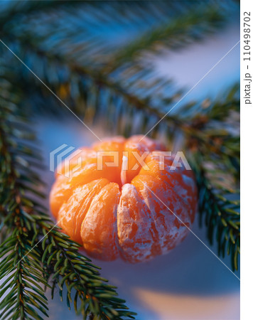 Scented candle in the shape of a tangerine and a fir branch close-up, illuminated with mixed colored light 110498702