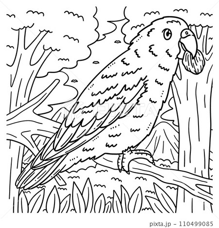 Parrotlet Bird Coloring Page for Kids Parrotlet Bird Coloring Page for Kids 110499085