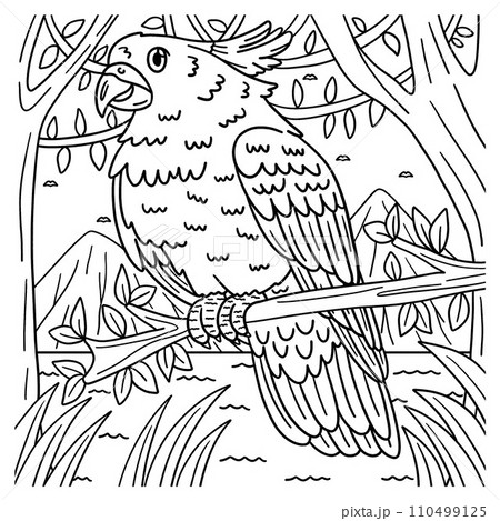Cockatoo Bird Coloring Page for Kids Cockatoo Bird Coloring Page for Kids 110499125