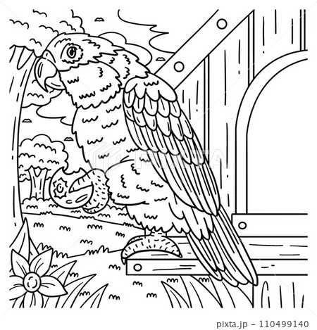 Cacique Bird Coloring Page for Kids 110499140