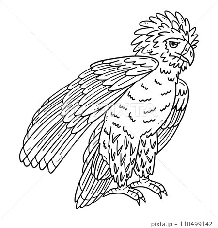 Philippine Eagle Isolated Coloring Page for Kids 110499142