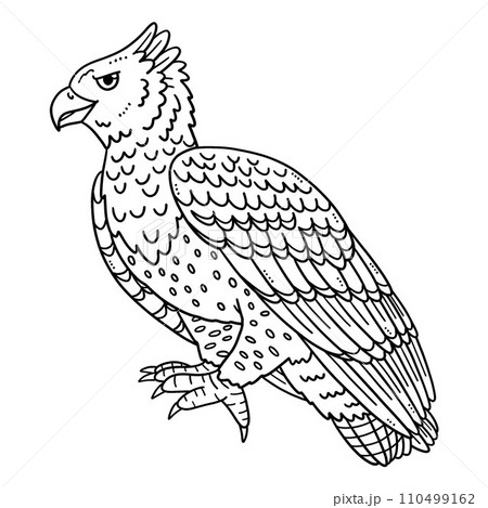 Martial Eagle Bird Isolated Coloring Page for Kids 110499162