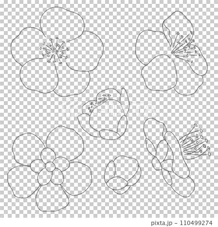 Plum blossom hand drawn line drawing parts set 110499274