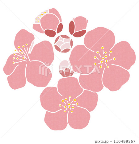 梅の花のカットイラスト　装飾素材　 110499567