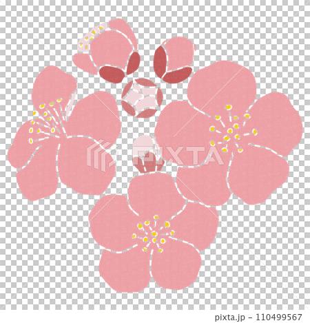 梅の花のカットイラスト　装飾素材　 110499567