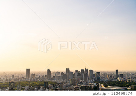 【東京都】夕日に照らされた大都市の街並み 110499574