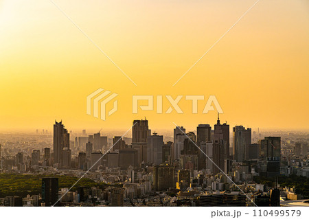 【東京都】夕日に照らされた大都市の街並み 110499579