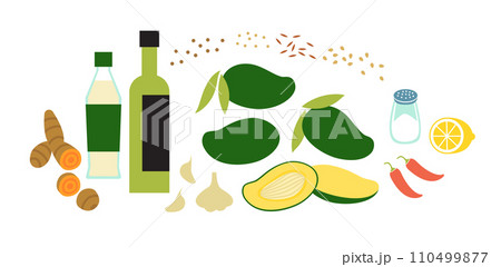 Amba sauce fresh raw ingredients. Flat vector illustration isolated on white background. Amba sauce fresh raw ingredients. Flat vector illustration isolated on white background. 110499877